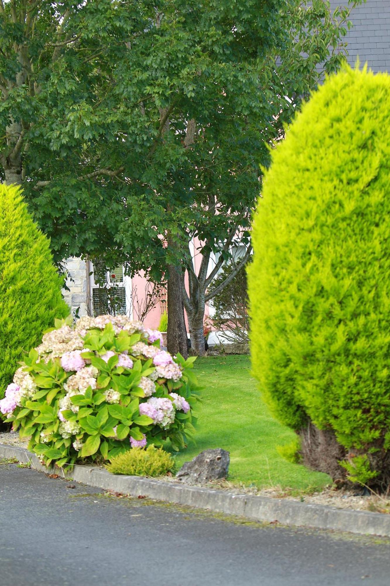 Bed & Breakfast Park House